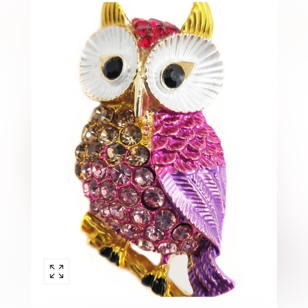 Aratta Owl Brooch New